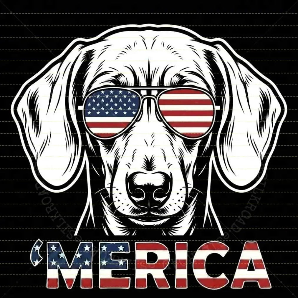 Comfort Colors 50+ Dog 4th of July Navy Shirt – Funny Patriotic Golden Retriever Labrador Graphic Tee, USA Independence Day Gift