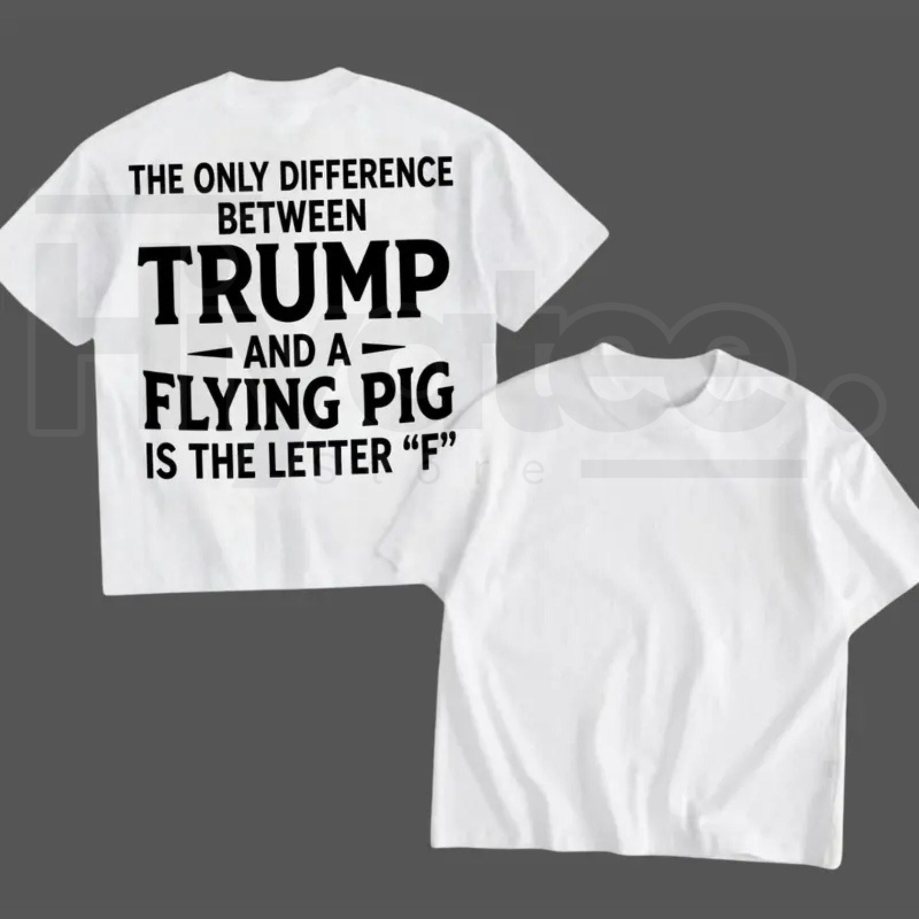 Funny Election Graphic T-Shirt – Humorous Quote Tee, 1-Sided Printed Daily Casual Shirt, Made in USA Gift for Men & Women - Hiyatee