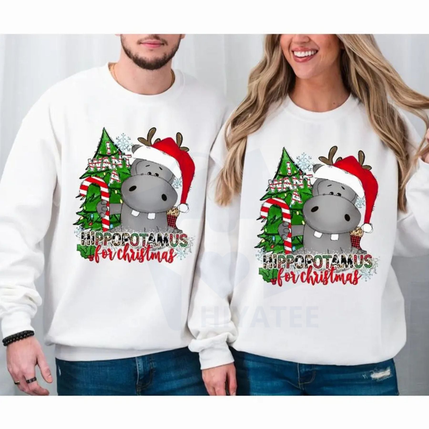 I Want a Hippopotamus for Christmas Sweatshirt: Hippo Shirt, Christmas Hippo Sweatshirt, Hippo Family Matching, CT01 TZ - Hiyatee