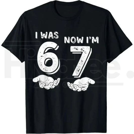 "I Was 6 Now I'm 7" Six Seven Meme T-Shirt – Funny 7th Birthday Hands Graphic Tee.. - Hiyatee