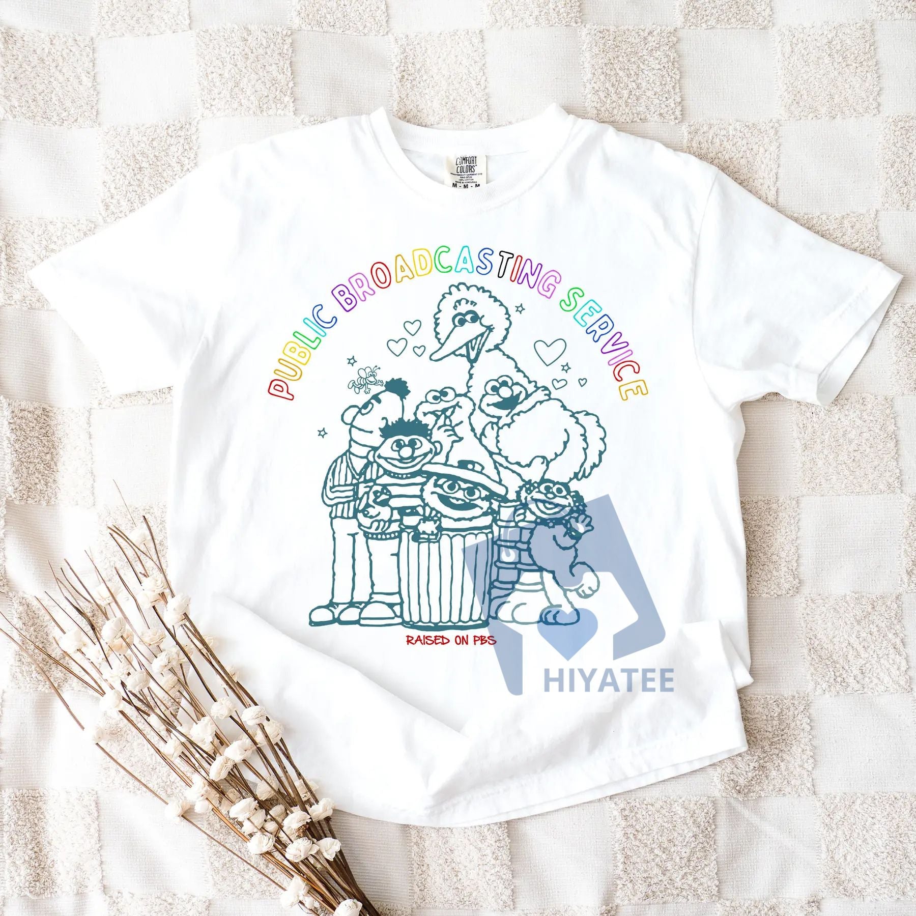 Public Broadcasting Service T-Shirt – 70s 80s Retro PBS Logo Tee, Classic TV Fan Shirt, Save PBS Protest Tee, Vintage Nostalgia Unisex Top-Hiyatee