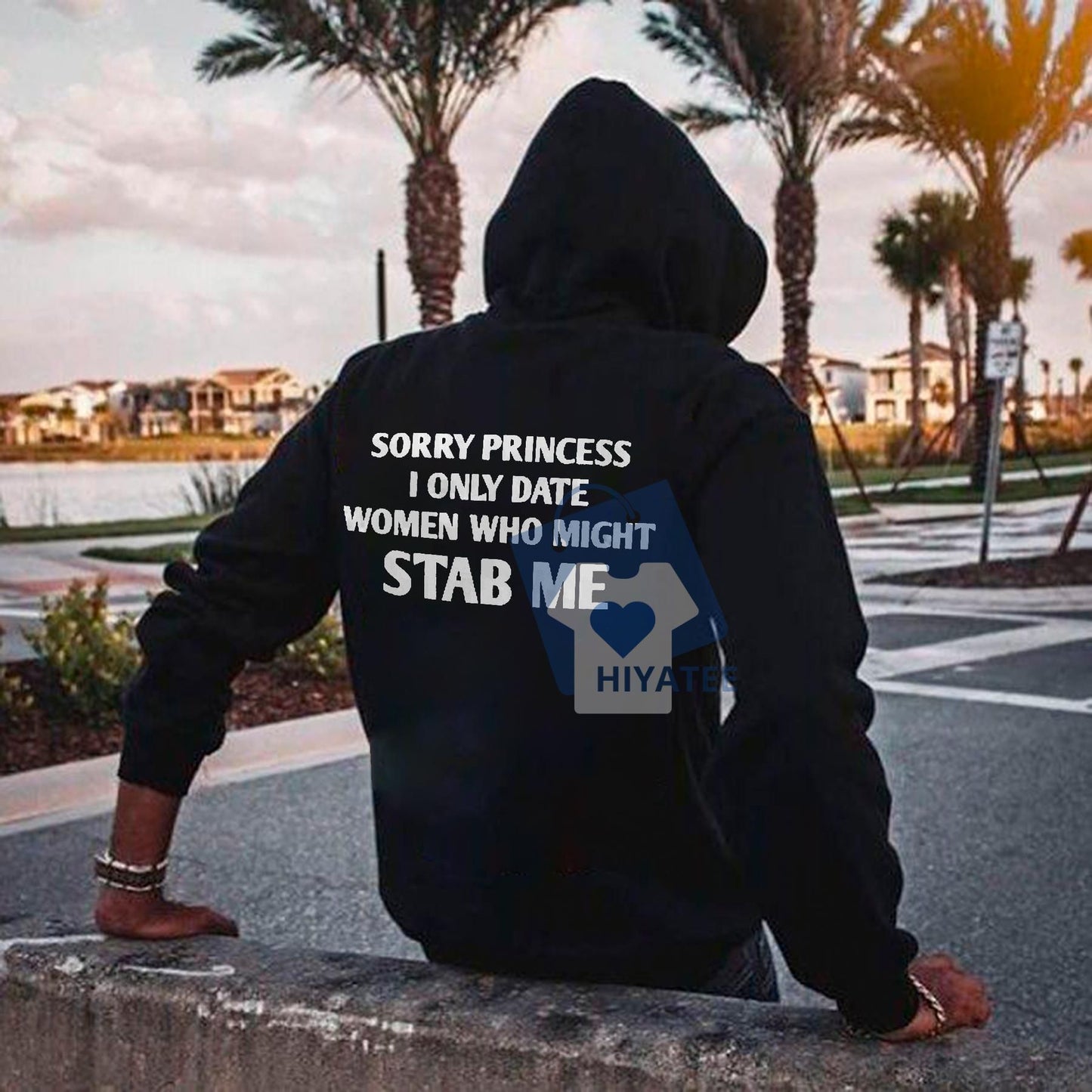 "Sorry Princess" Hoodie – Bold Printed Hoodie for Men with Dark Humor-Hiyatee