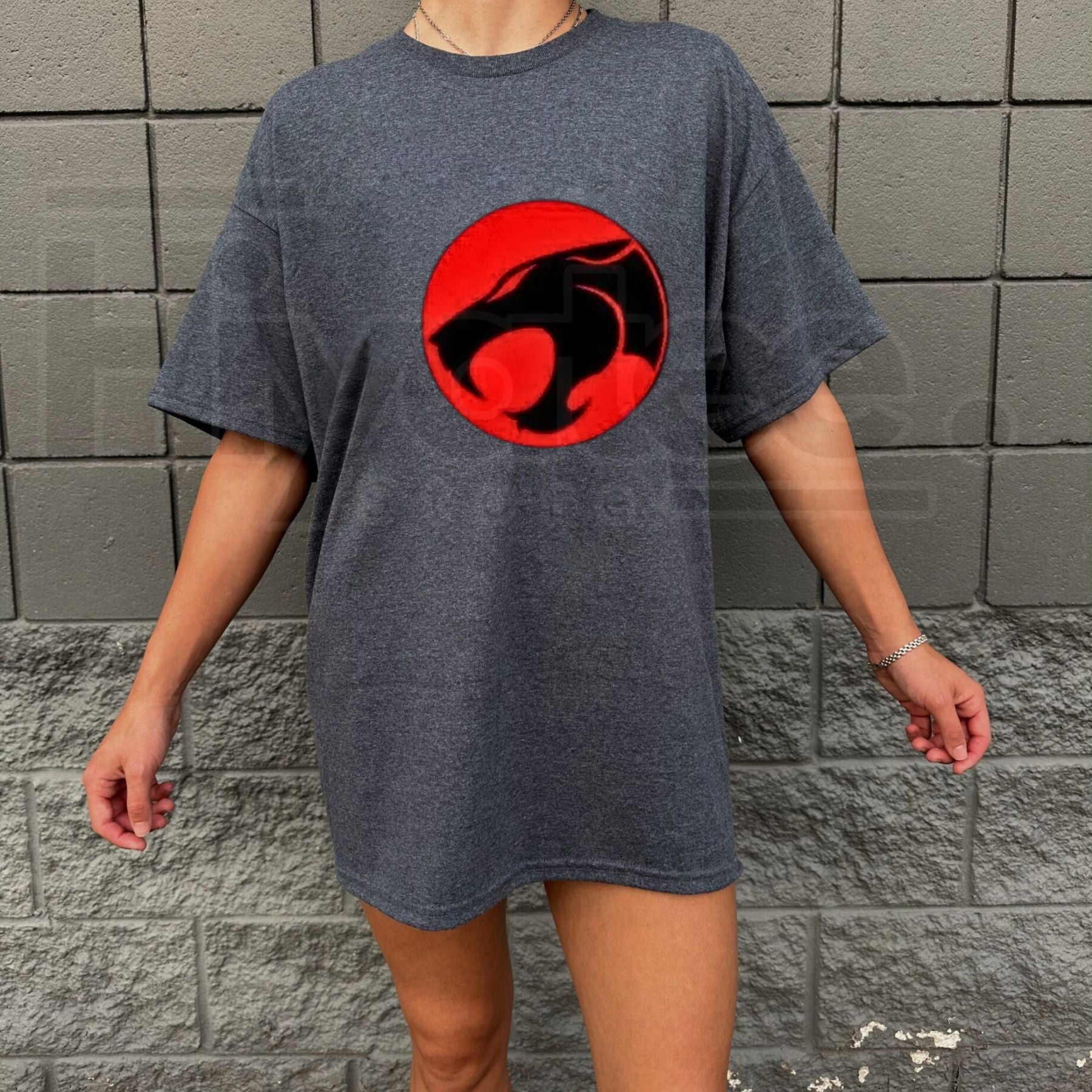 "ThunderCats" Classic Cartoon – Retro Anime Oversized Harajuku Top - Hiyatee