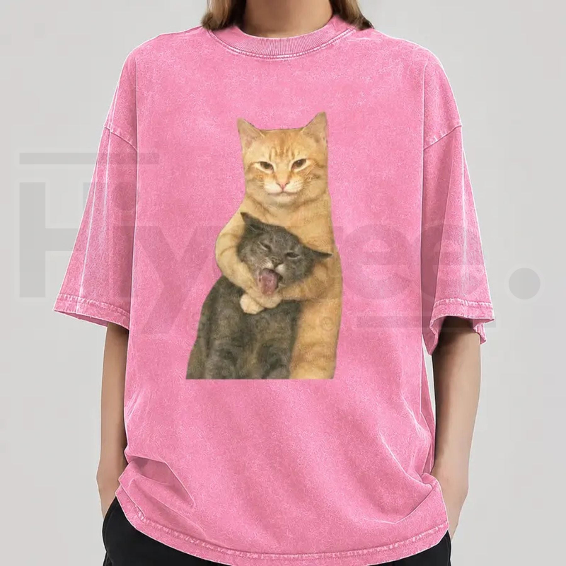 Washable Cat Quarrel Moment T-Shirt – High-Quality Vintage Graphic Tee - Hiyatee