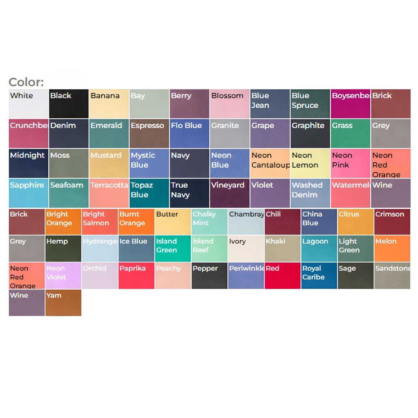 Comfort Colors® "Silly Goose On The Loose" T-shirt – Funny Western Cowgirl Tee, Trendy Animal Meme Shirt